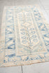 Antique Anatol Area Rug (3' x 6')